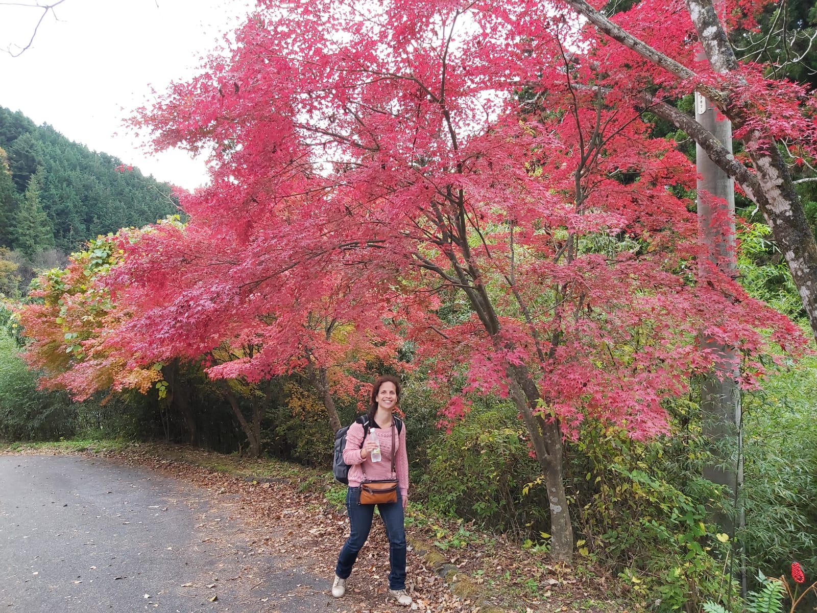 nakadendo-autumn-colors