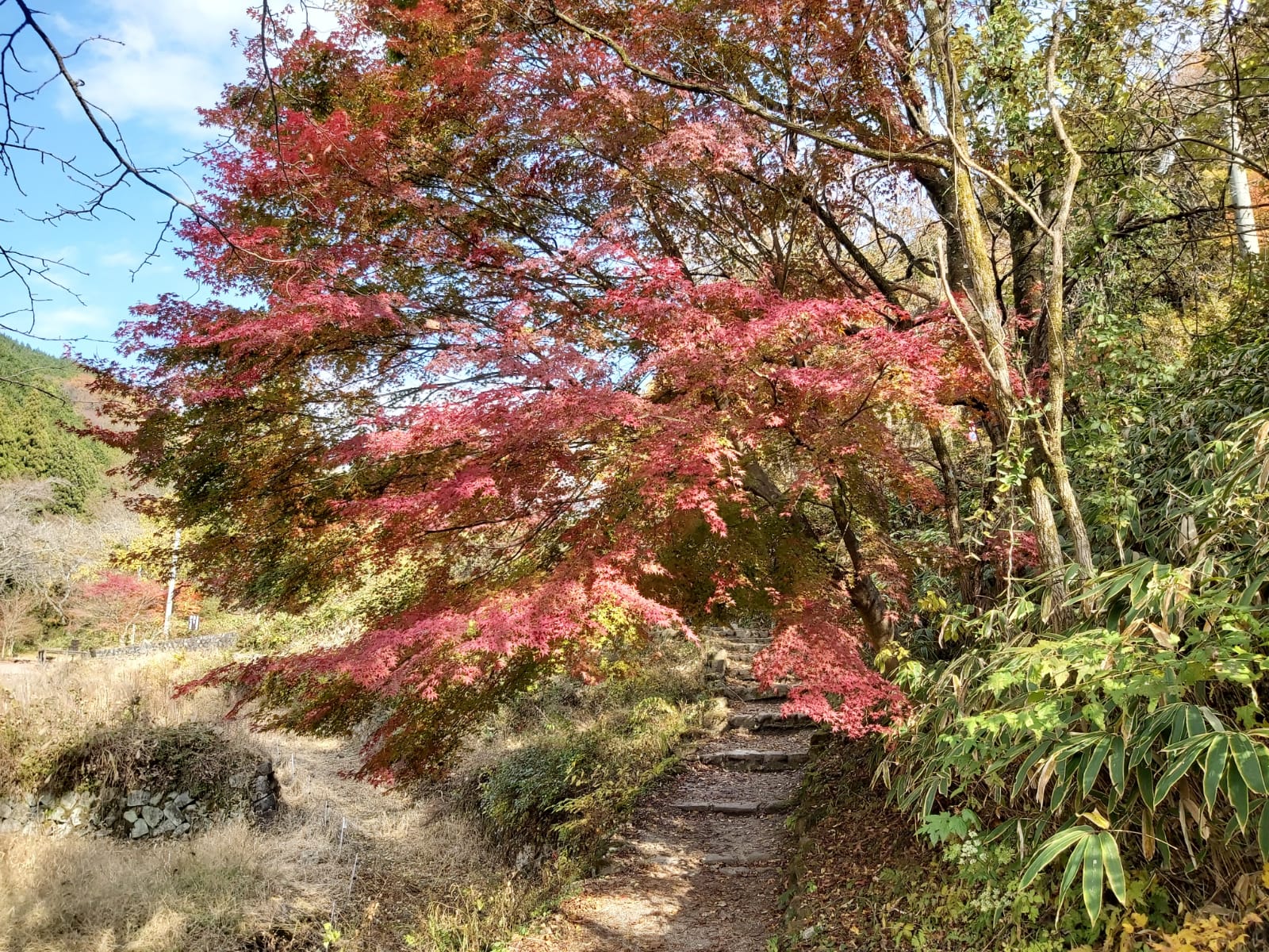 nakasendo-2km