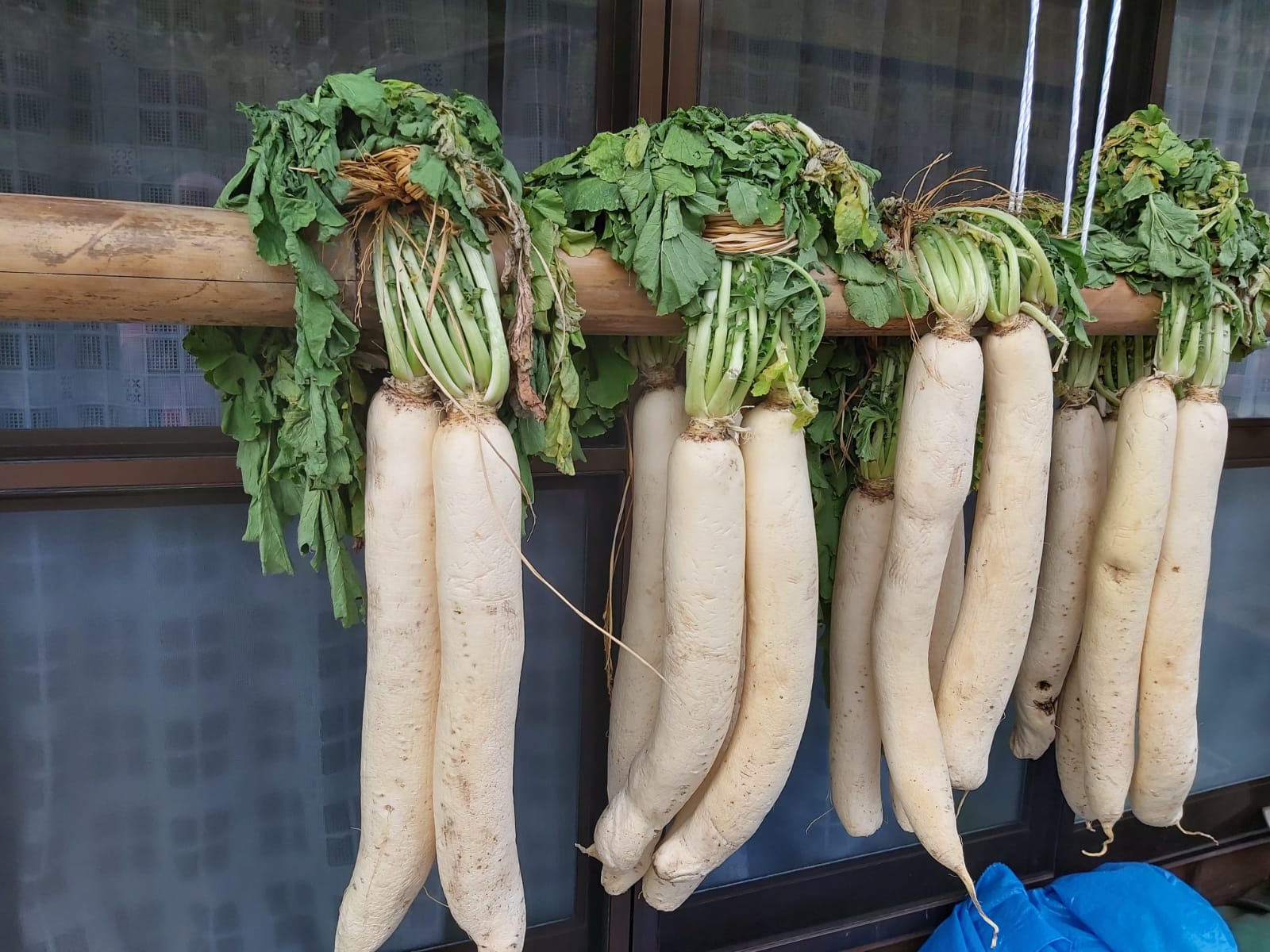 nakasendo-dried-daikon
