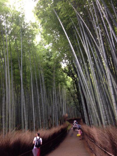 Arashiyama Bamboo Grove